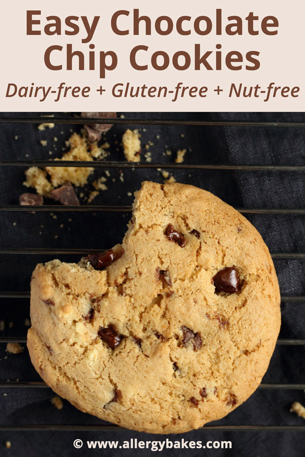 Easy Chocolate Chip Cookies | Dairy-free + Gluten-free + Nut-free